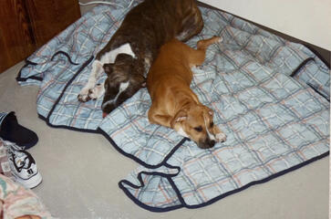 Kaine + his mom Jesse