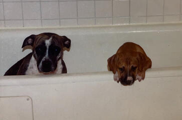 Kaine + his mom Jesse